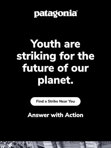 Strike for Climate Action Thumbnail Preview