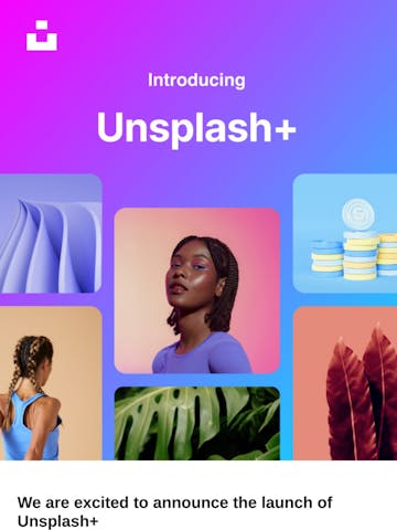 Introducing… Unsplash+ Thumbnail Preview