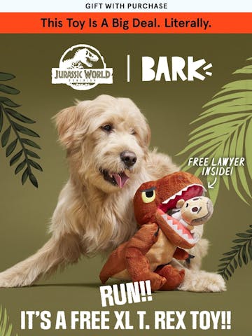 Scout from BarkBox Email Design Thumbnail Preview