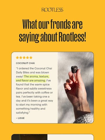 Rootless Email Design Thumbnail Preview
