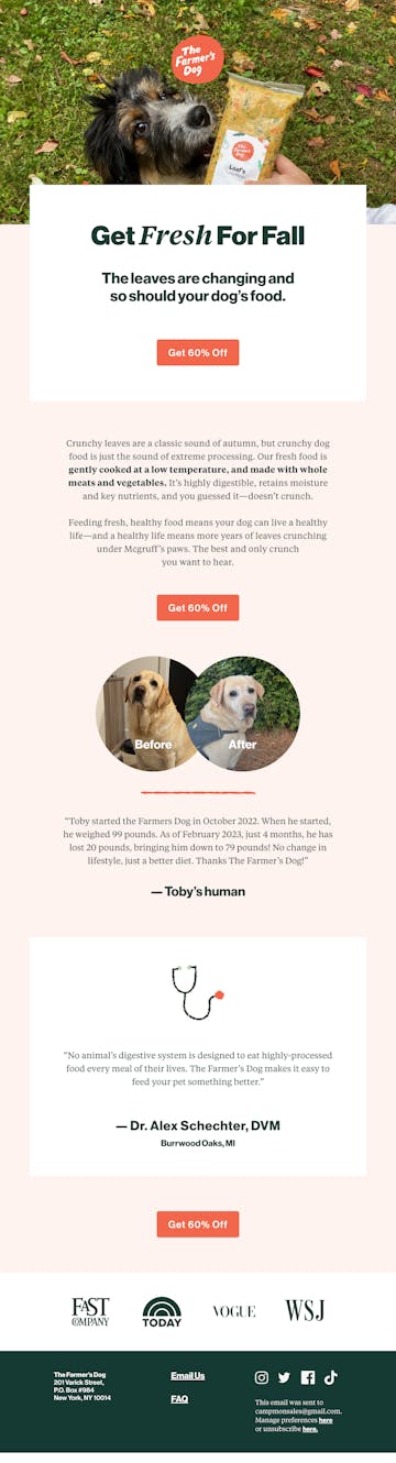 The Farmer’s Dog Email Design Thumbnail Preview