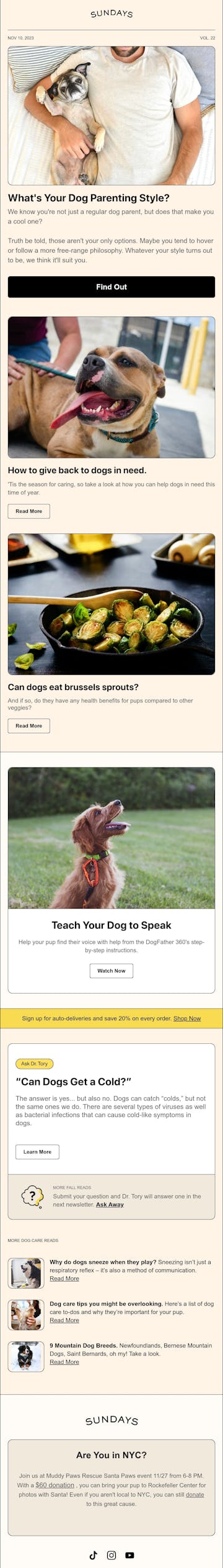 Sundays for Dogs Email Design Thumbnail Preview
