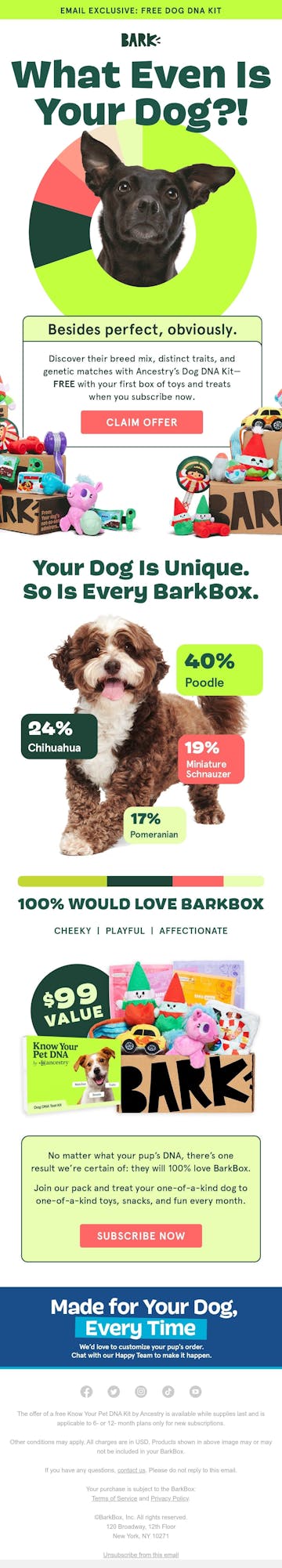 Scout from BARK Email Design Thumbnail Preview