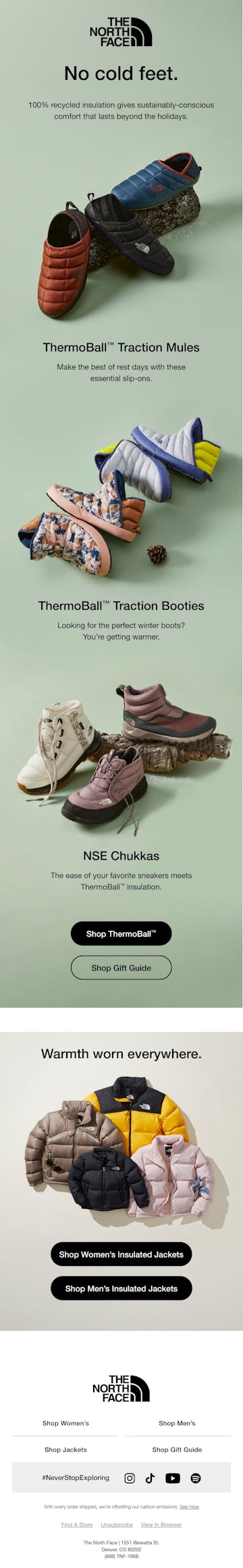 The North Face Email Design Thumbnail Preview