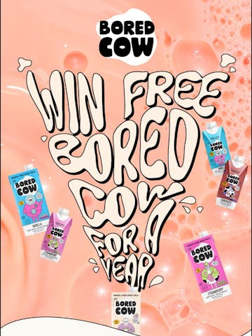 Bored Cow Email Design Thumbnail Preview