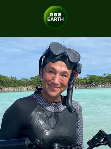 BBC Earth Email Design Thumbnail Preview