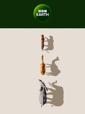 BBC Earth Email Design Thumbnail Preview