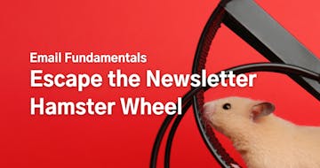 Escape the Newsletter Hamster Wheel: How Evergreen Newsletters Saved My Sanity (and Can Save Yours Too)