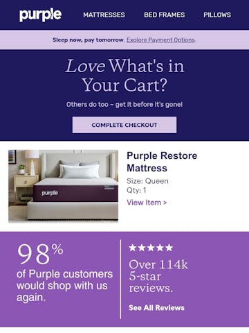 Purple Email Design Thumbnail Preview