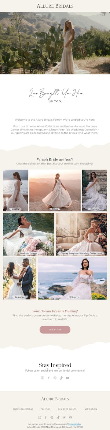 Allure Bridals Email Design Thumbnail Preview